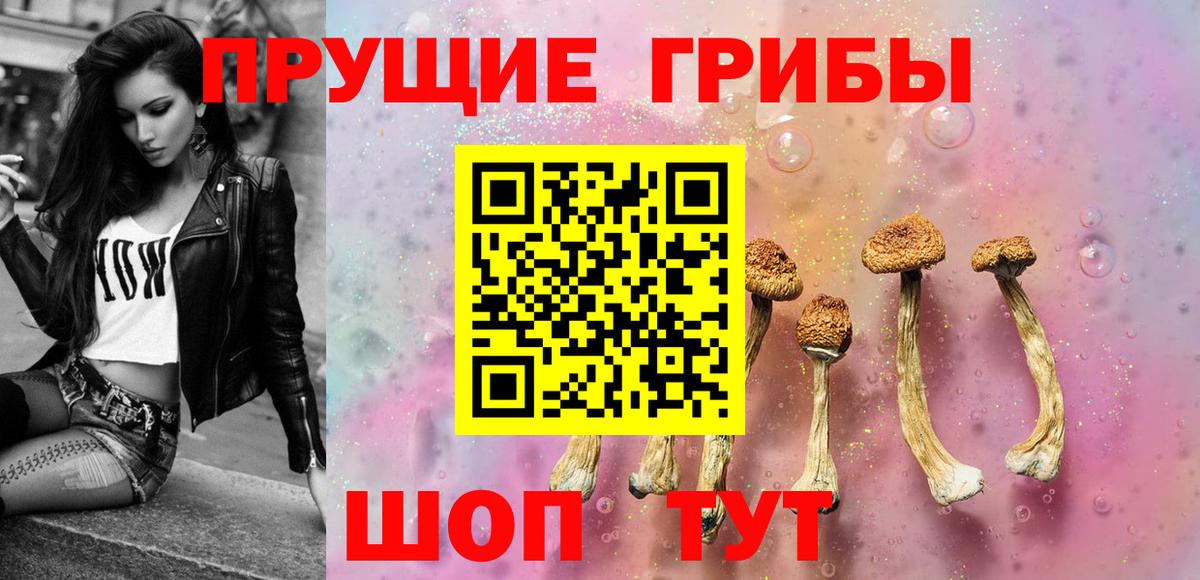 Тамбов  закладки  Вход с VPN  Галлюциногенные грибы мицелий 