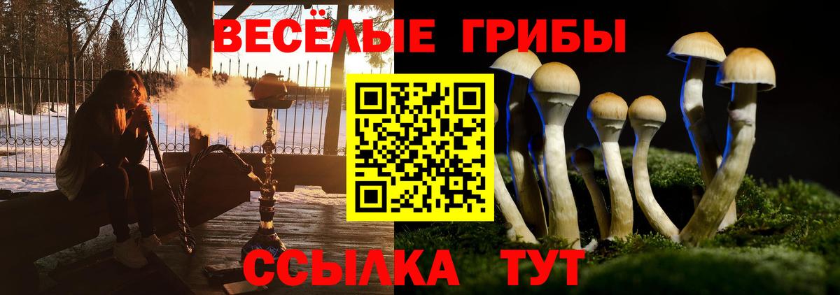 Псилоцибиновые грибы ЛСД Тамбов